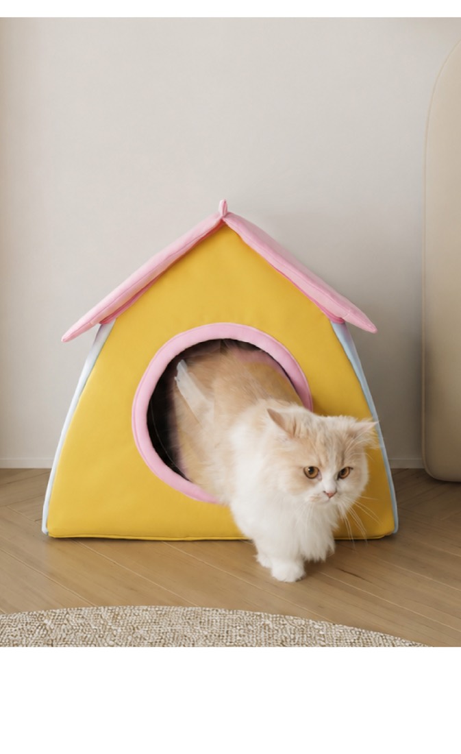 猫咪在空调房内避暑